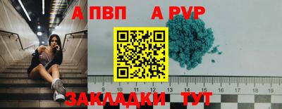 a pvp Донской