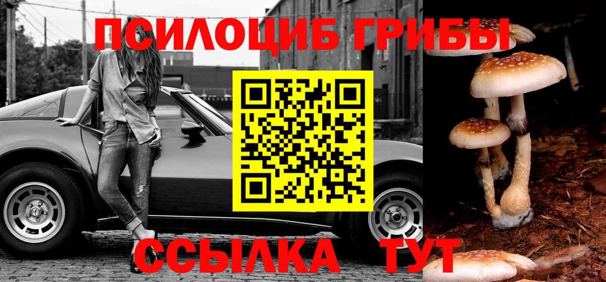 Псилоцибиновые грибы мицелий Мелеуз