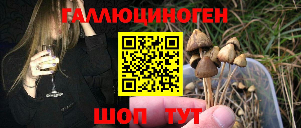 Псилоцибиновые грибы Cubensis  Вход с VPN  Галлюциногенные грибы GOLDEN TEACHER  Мелеуз 